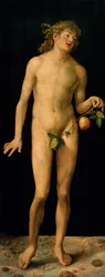 Adam, 1507